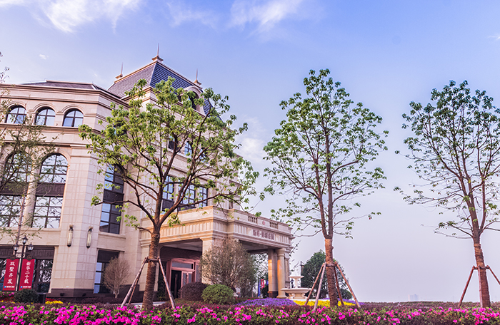 实景图 (2).jpg