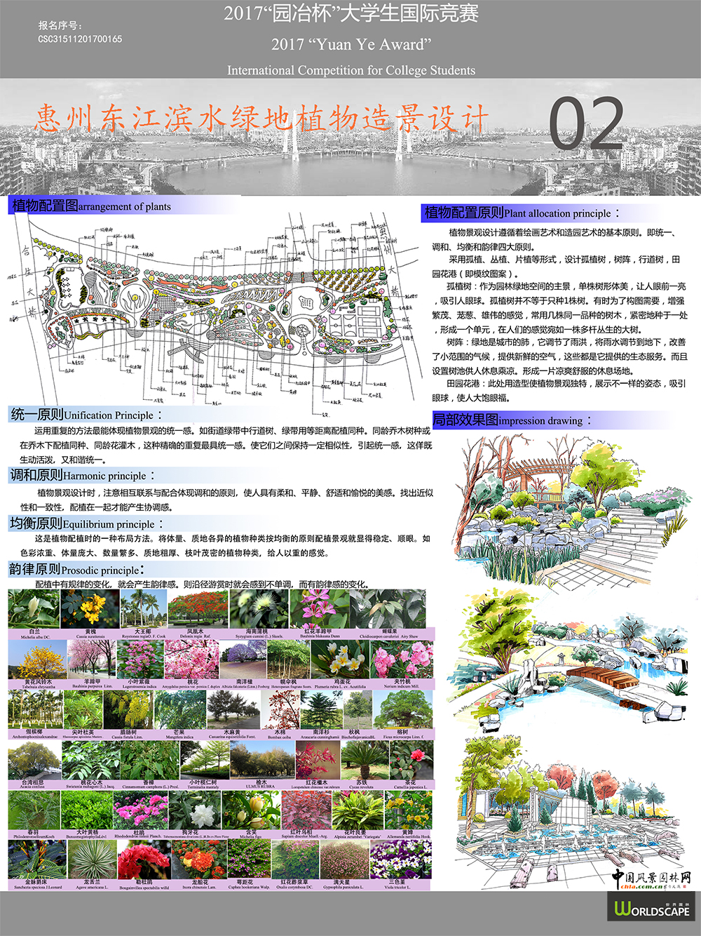 惠州东江滨水绿地植物造景设计