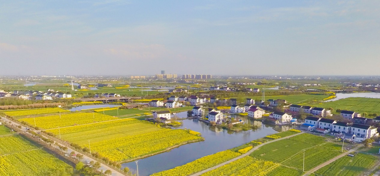 泥仓溇湿地乡村全景