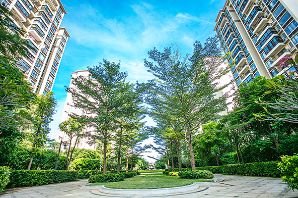 海云天项目补货区及后开区园林景观工程