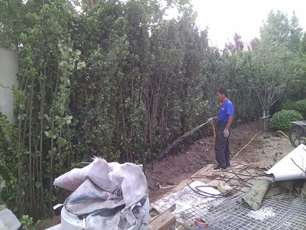 丽高王府