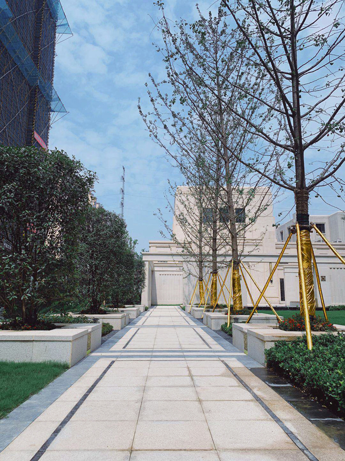 示范区实景