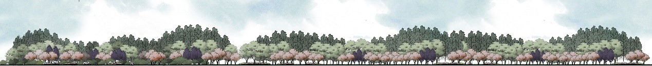 兴城市龙兴路绿化设计景观工程