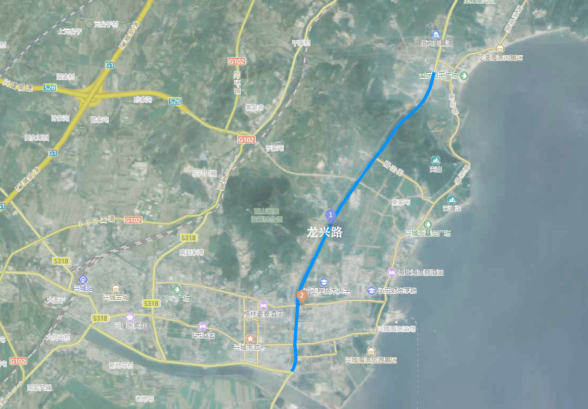 兴城市龙兴路绿化设计景观工程