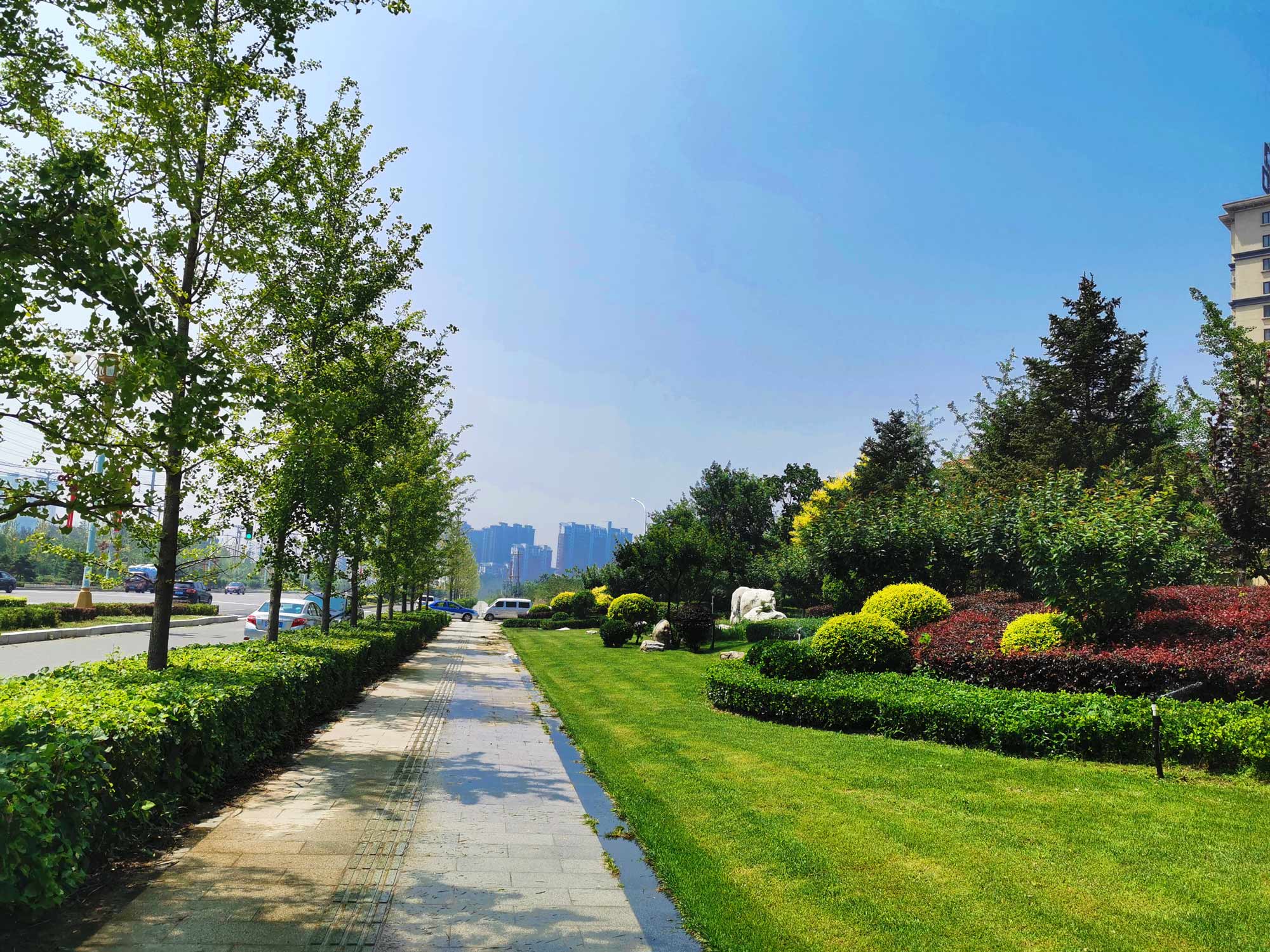 兴城市龙兴路绿化设计景观工程