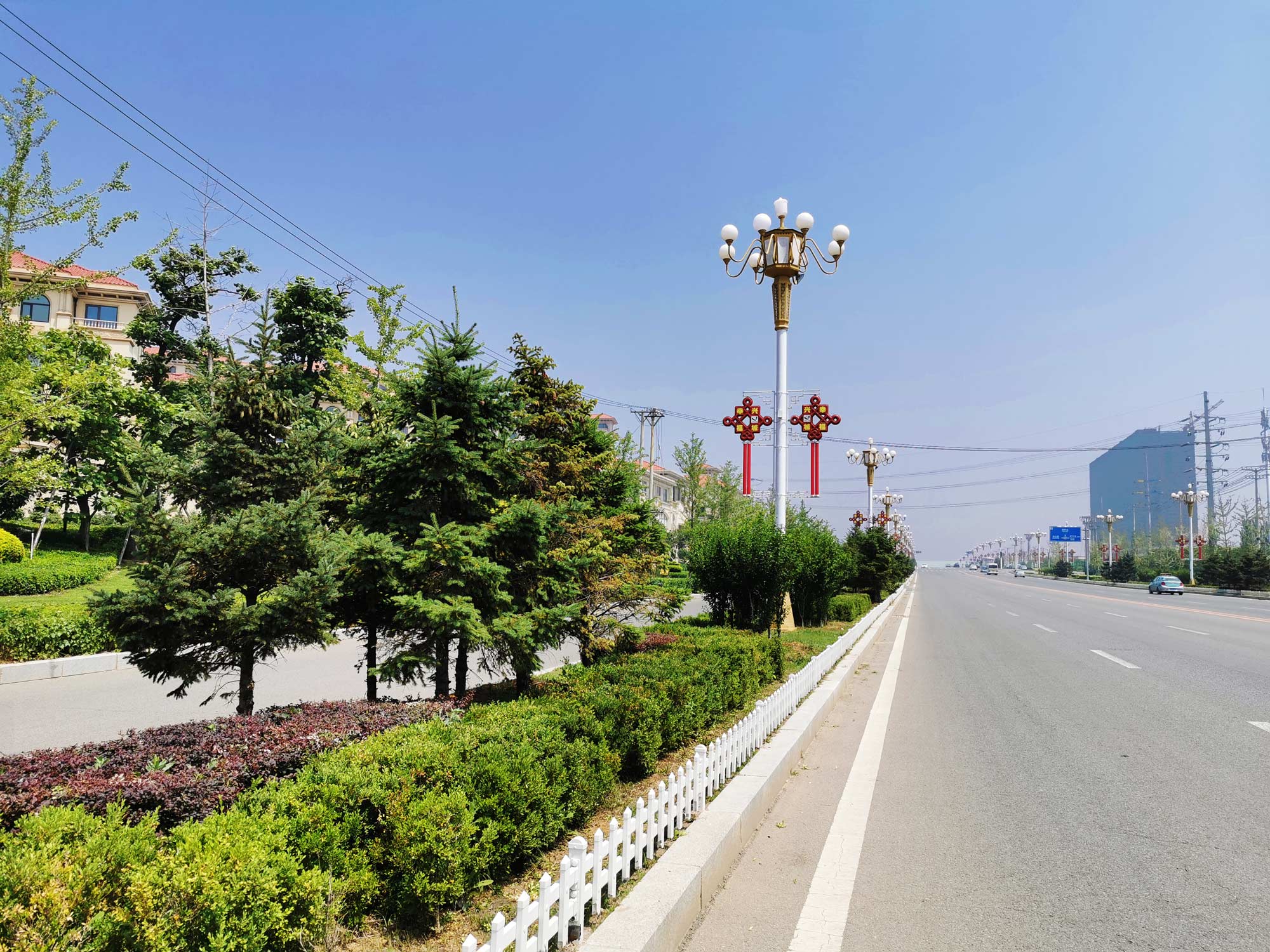 兴城市龙兴路绿化设计景观工程