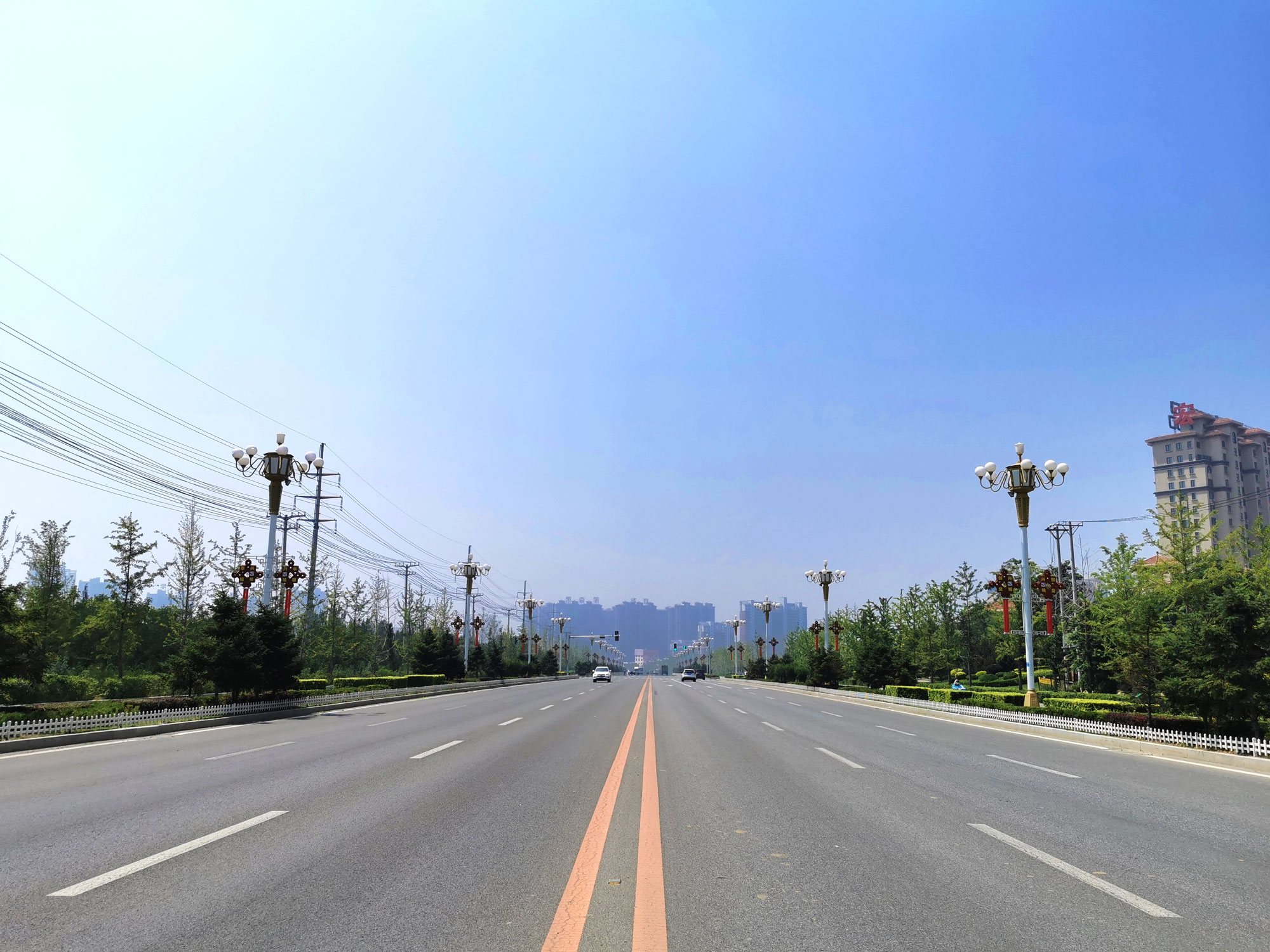 兴城市龙兴路绿化设计景观工程