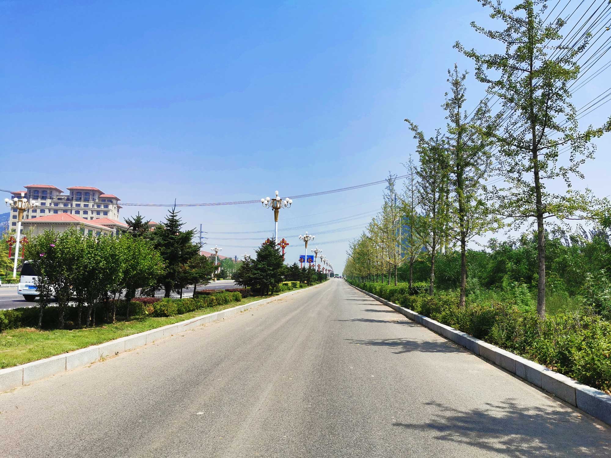 兴城市龙兴路绿化设计景观工程