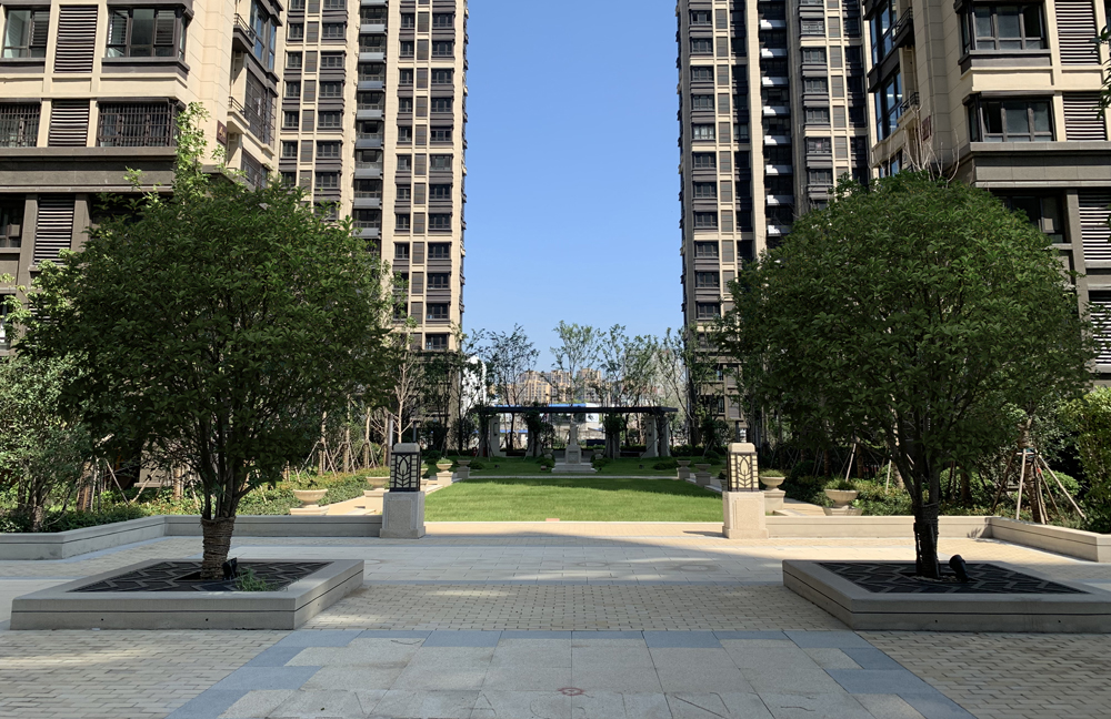 002-实景 (4).JPG