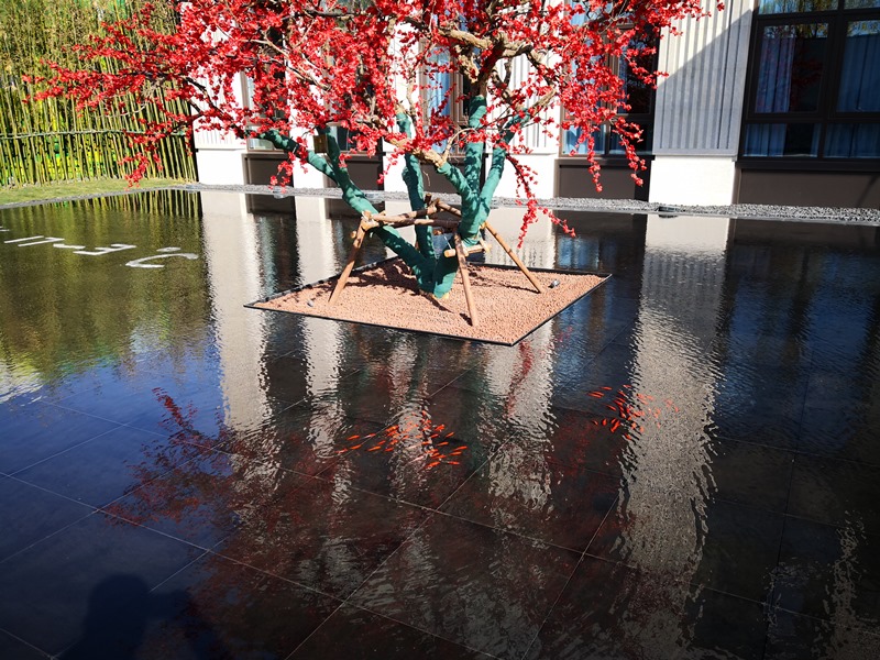 水景3.jpg