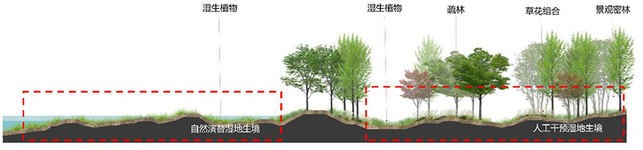 图片26.jpg