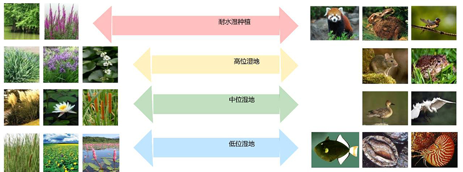 图片27.jpg