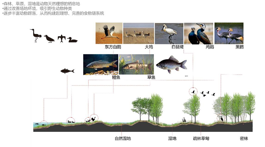图片48.jpg