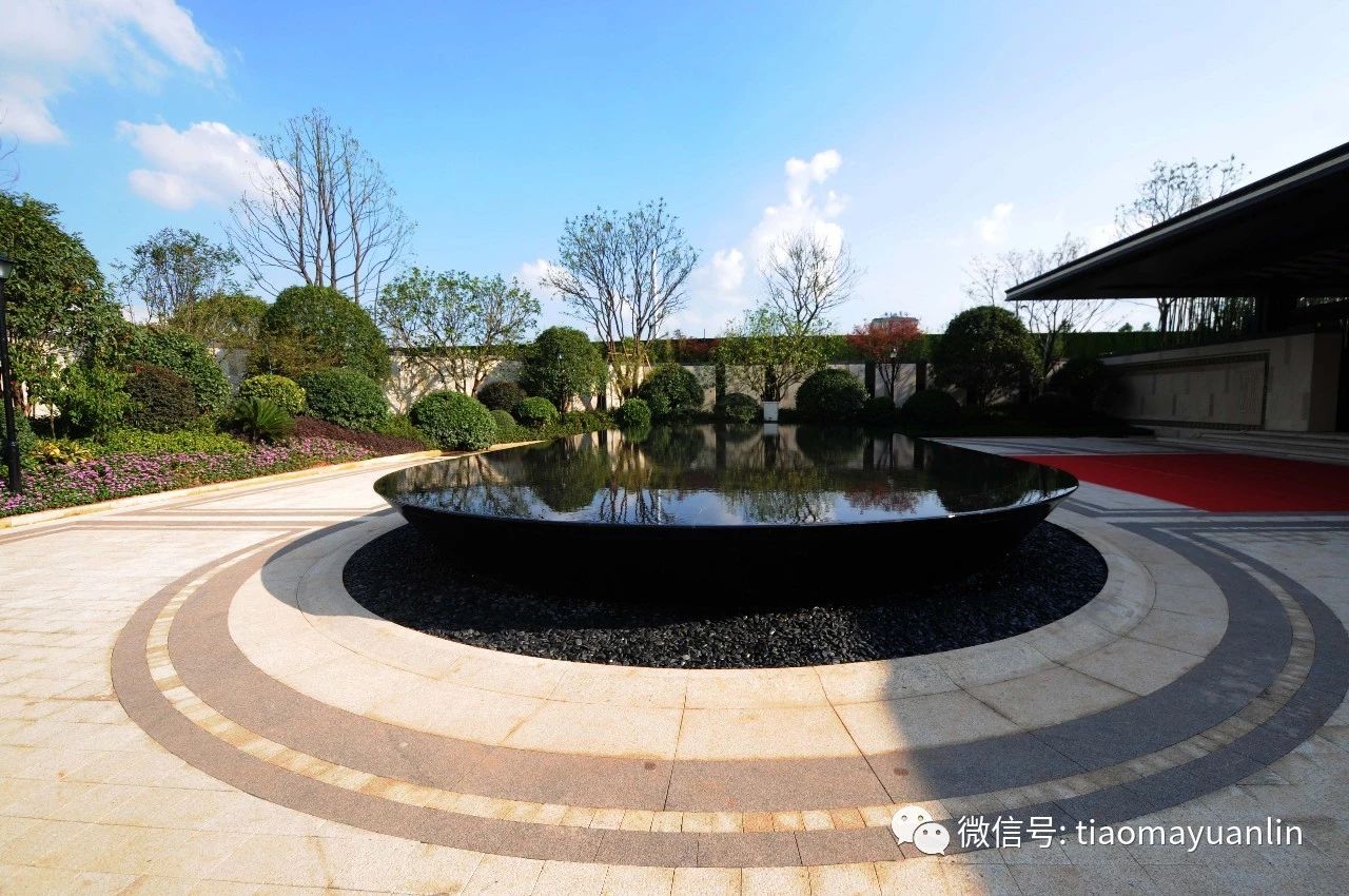 环岛处打造中心镜面水景，与主入口形成轴线强烈的对景。同时，水景将前庭入口与停车场道路有效引导分离。 . ...