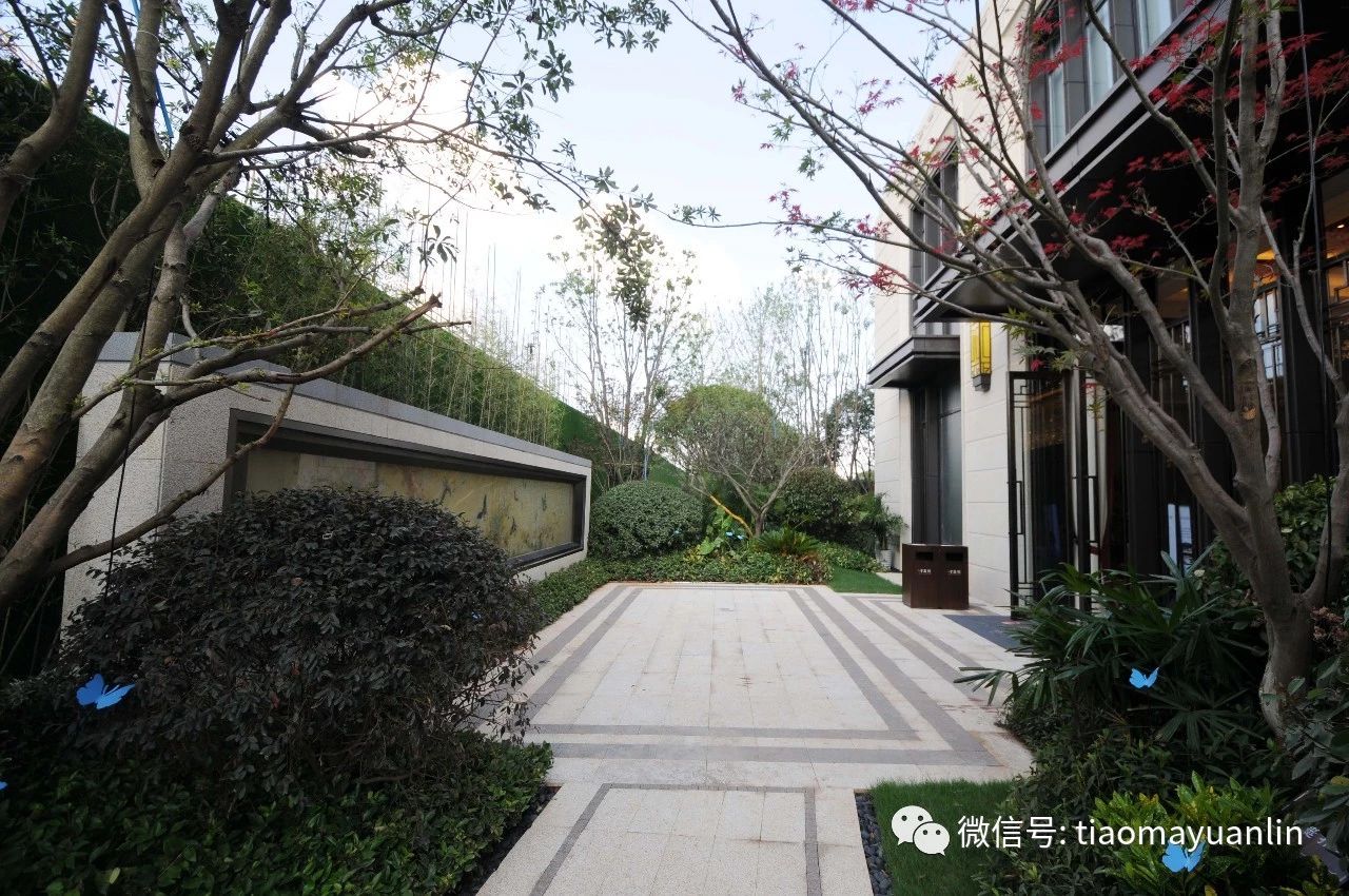 景观层层递进，后庭院融洽谈、休闲一体的活动空间。通过成片花卉、精细植物的搭配，营造轻松惬意的氛围。 . ...