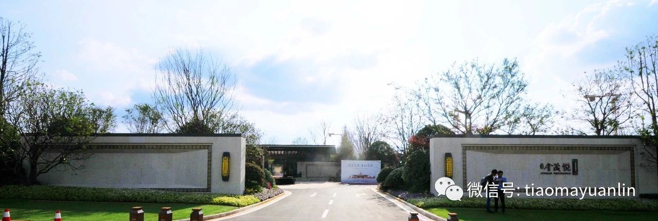 环岛处打造中心镜面水景，与主入口形成轴线强烈的对景。同时，水景将前庭入口与停车场道路有效引导分离。 . ...