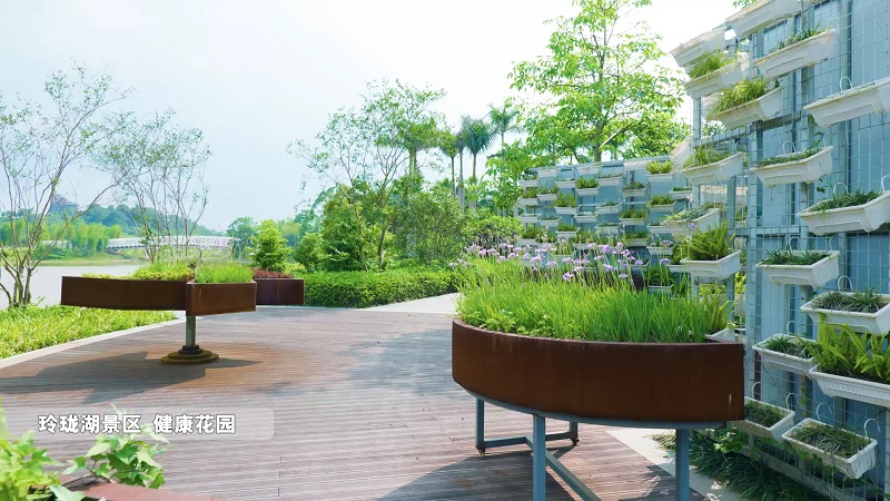 健康花园.jpg