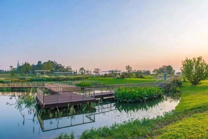 芦草叠塘 (2).jpg