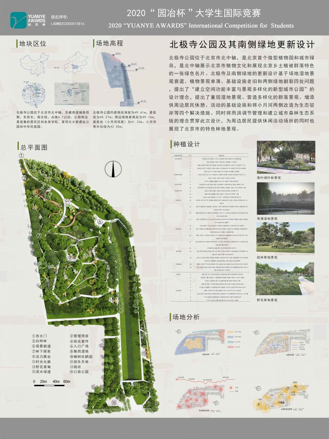 北极寺公园 四环边隐匿的微型植物园_北京日报APP新闻