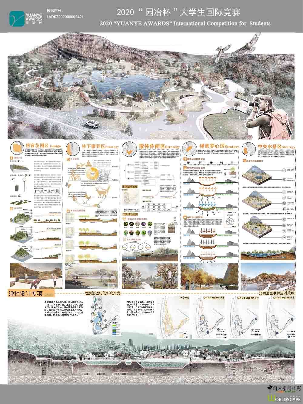 网展用图2.jpg
