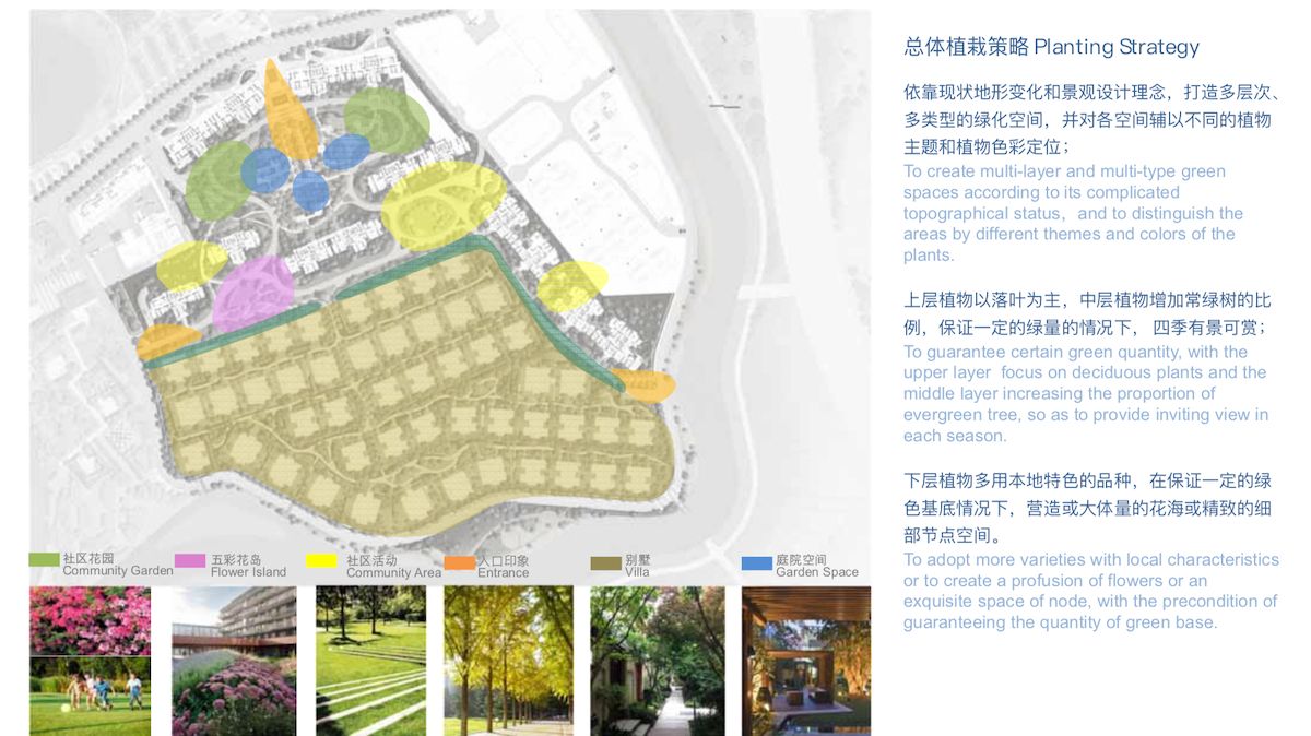 植栽策略.png