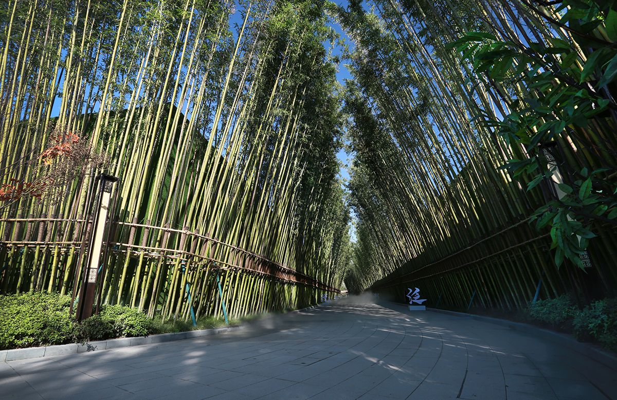 竹境1.jpg