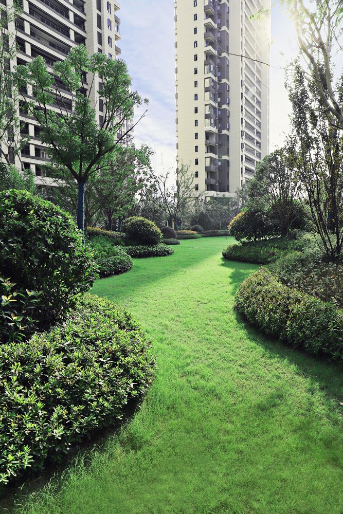 合肥华宇·御璟江山A地块景观及园林绿化工程