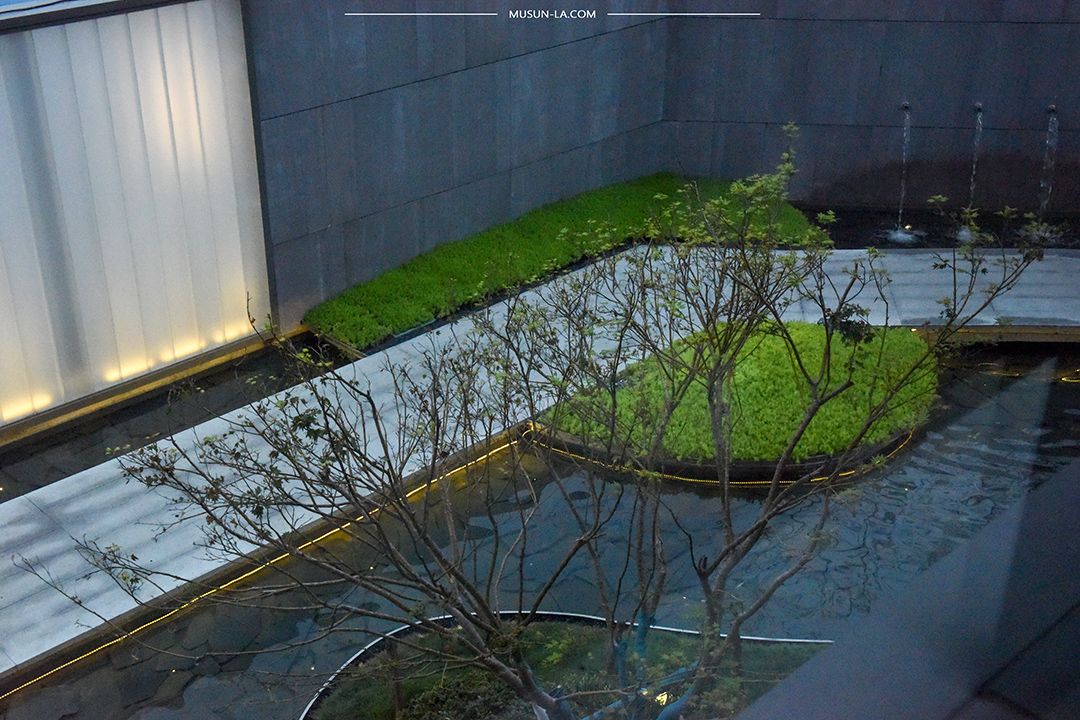 DSC_1457小于1.jpg