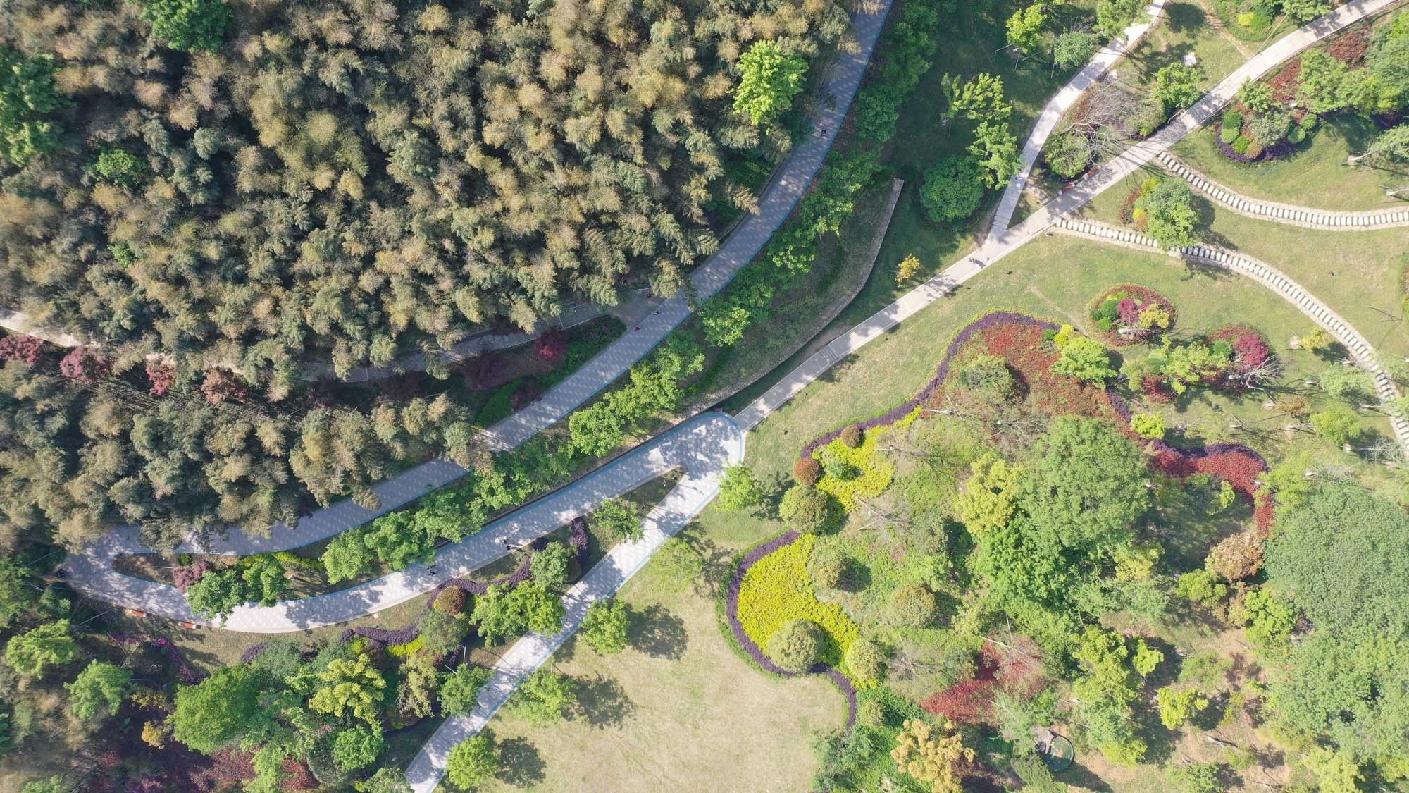凤凰山休闲公园整治工程