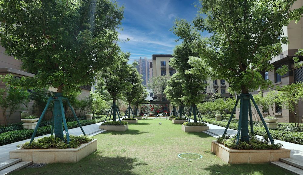 节点景观 2.jpg