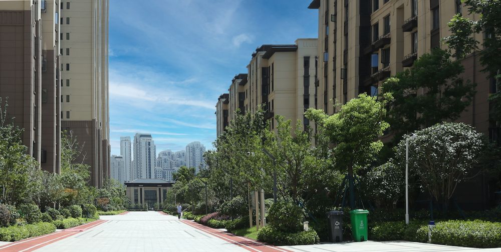 景观园路 1.jpg