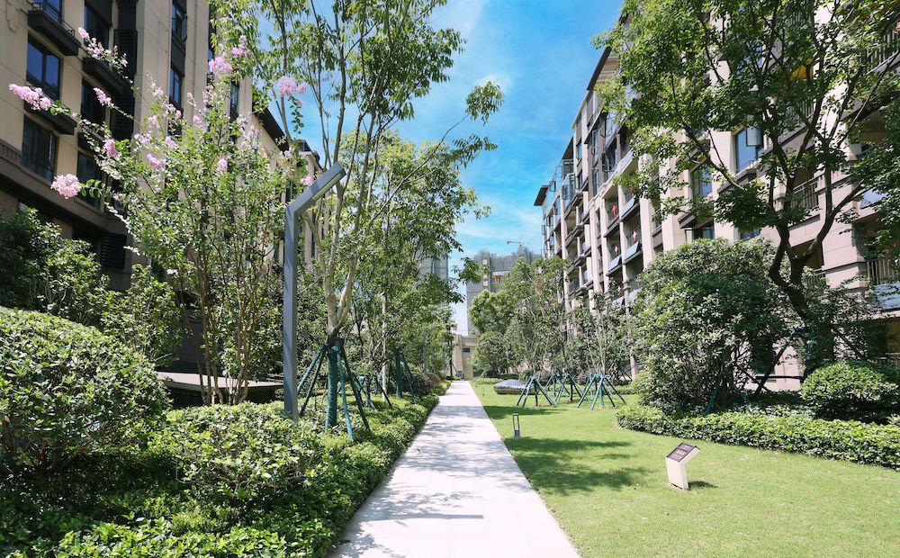 景观园路 2.jpg