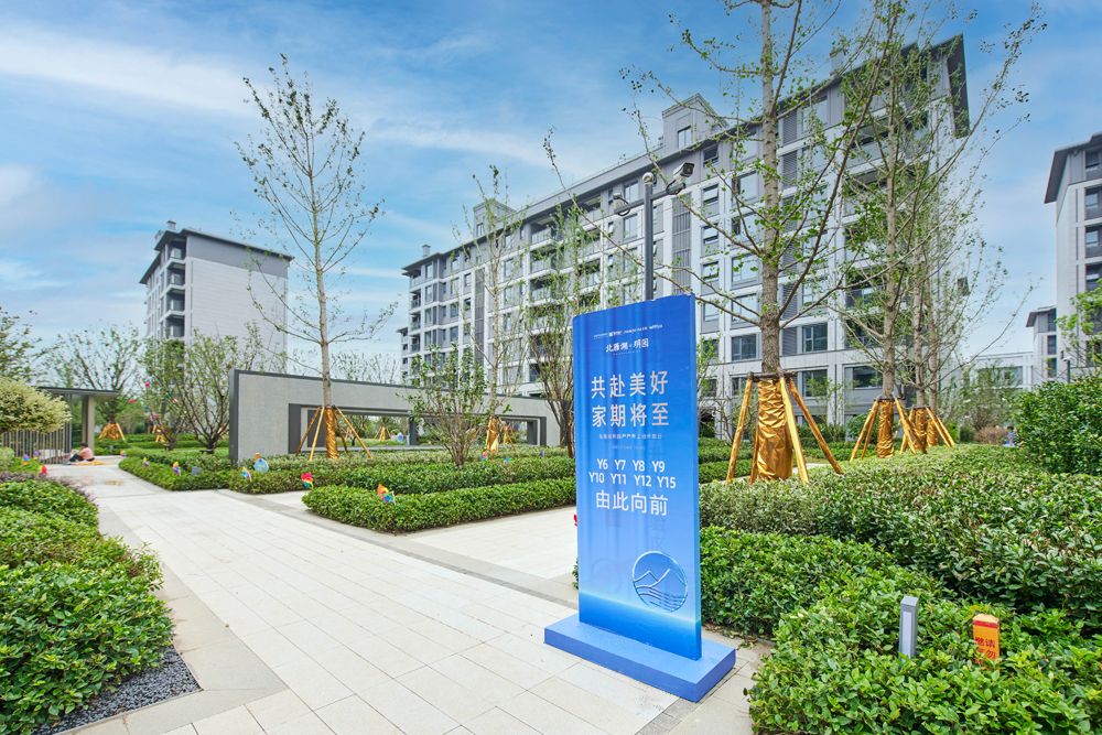 Y7C_5947.jpg