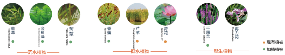 图片15.png