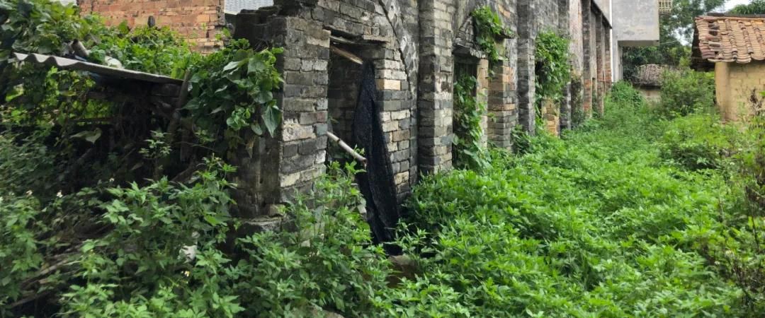 园冶杯参赛作品 | 唤醒记忆：趣村·港头国际青年设计师竞赛方案