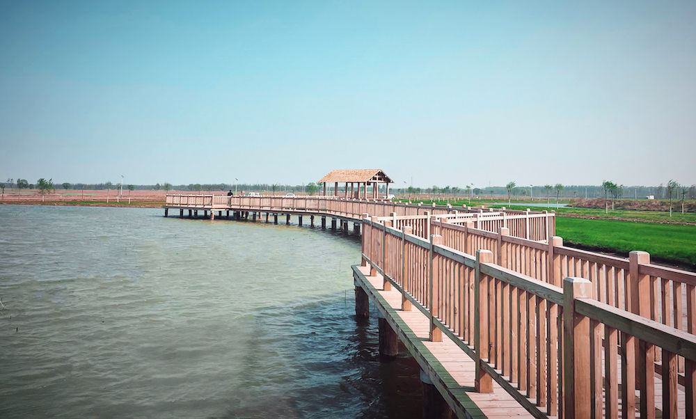 雄安新区府河河口湿地水质净化工程