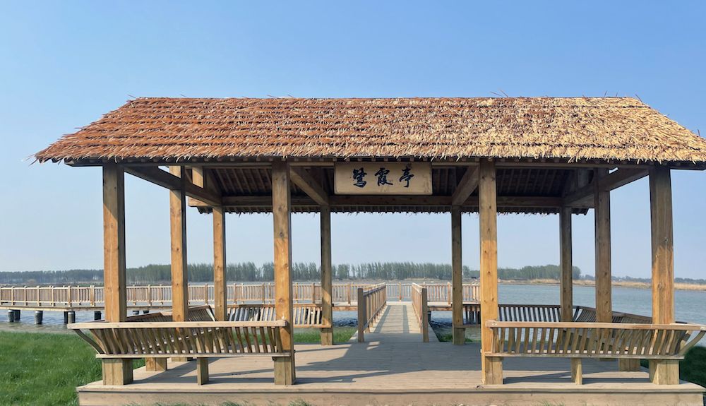 雄安新区府河河口湿地水质净化工程
