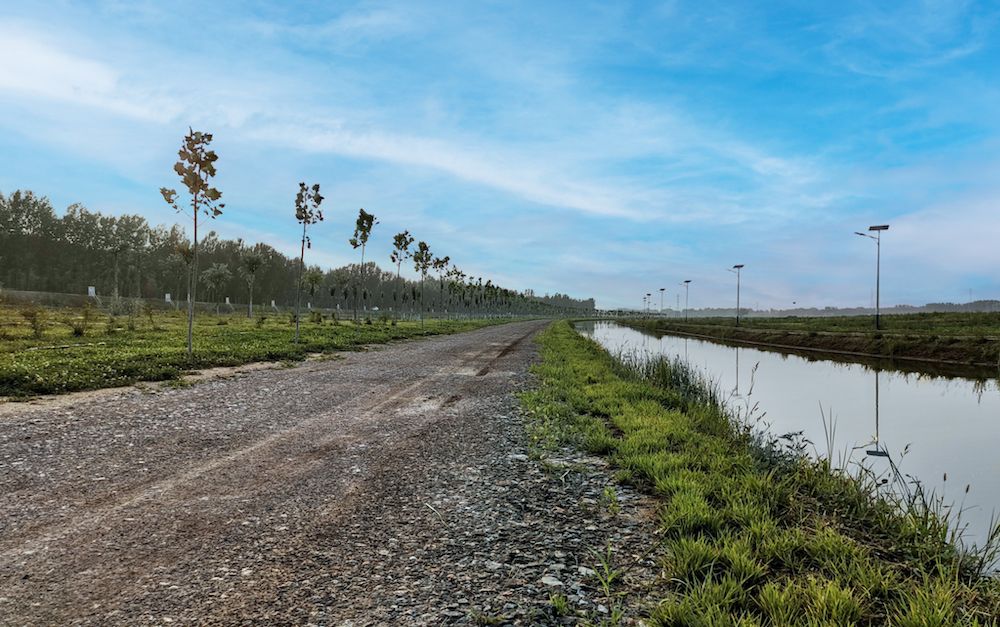 雄安新区府河河口湿地水质净化工程