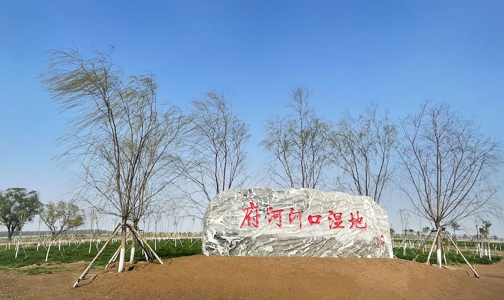 雄安新区府河河口湿地水质净化工程