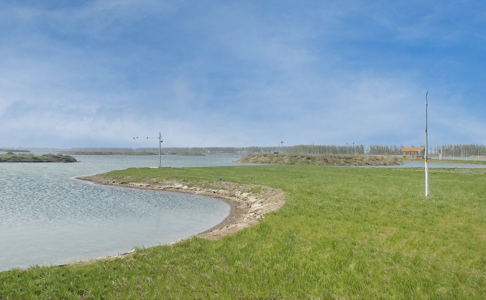 雄安新区府河河口湿地水质净化工程