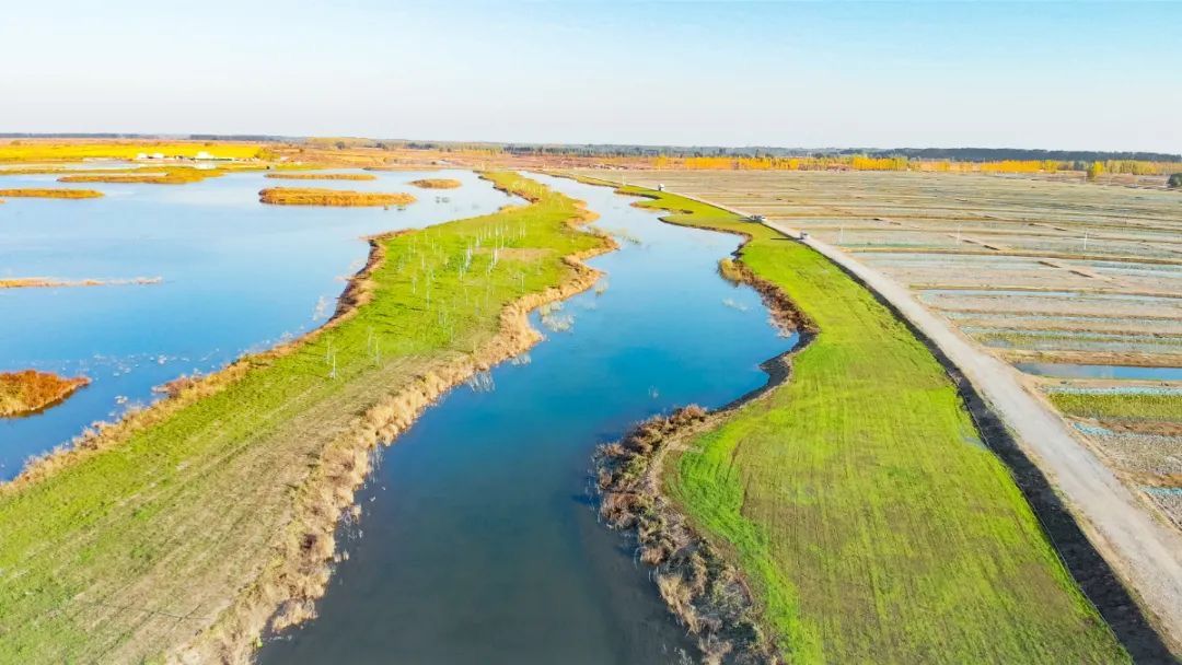 雄安新区府河河口湿地水质净化工程