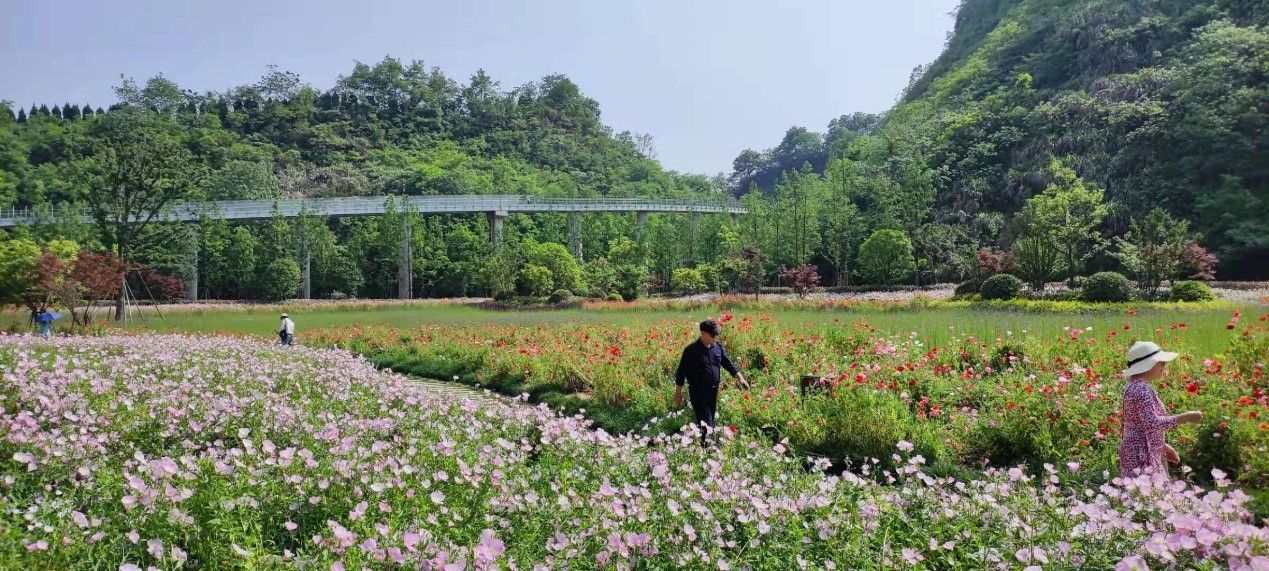 凤凰山休闲公园整治工程