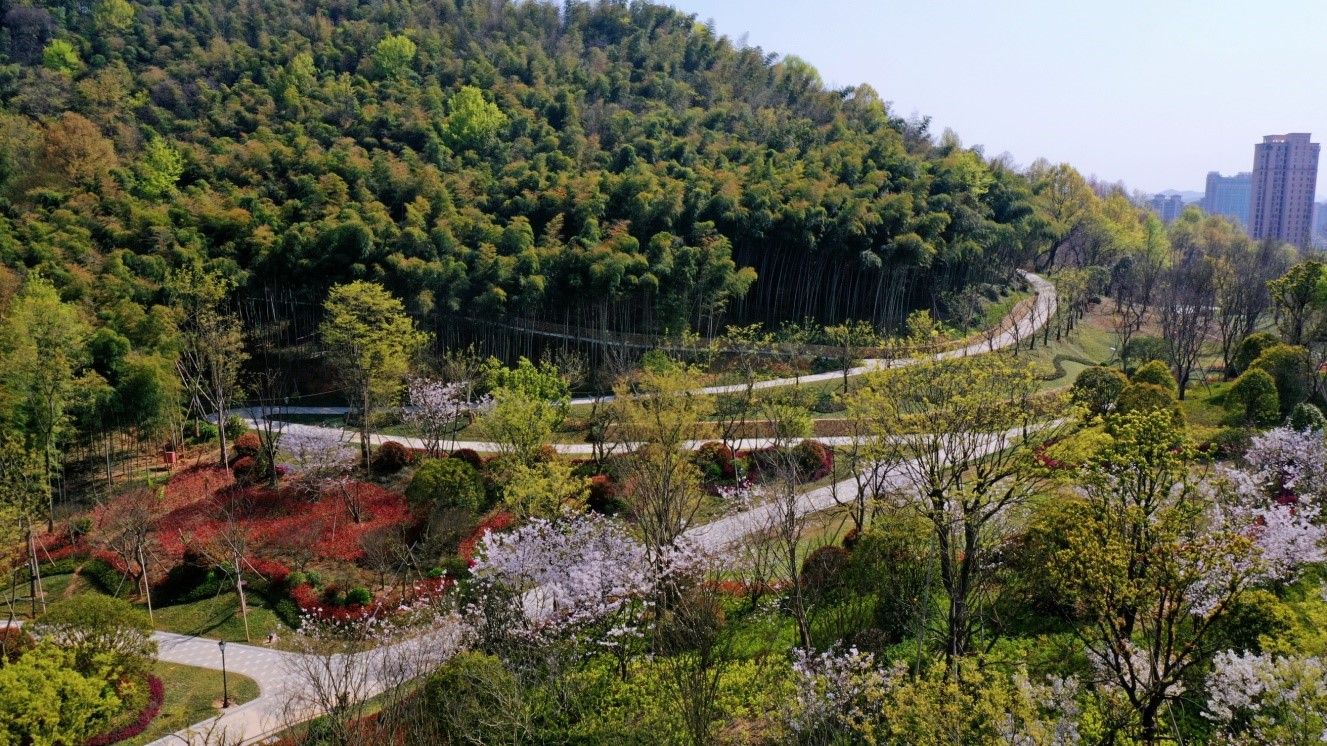 凤凰山休闲公园整治工程