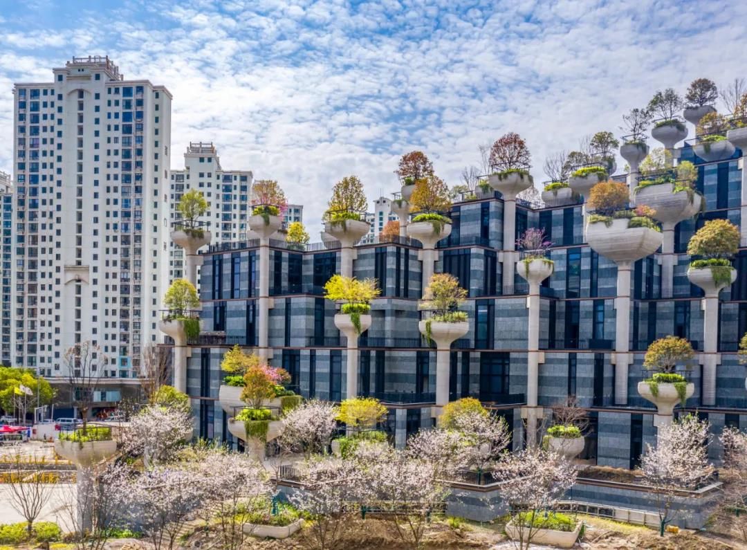天安千树滨河花园及一二楼平台花园