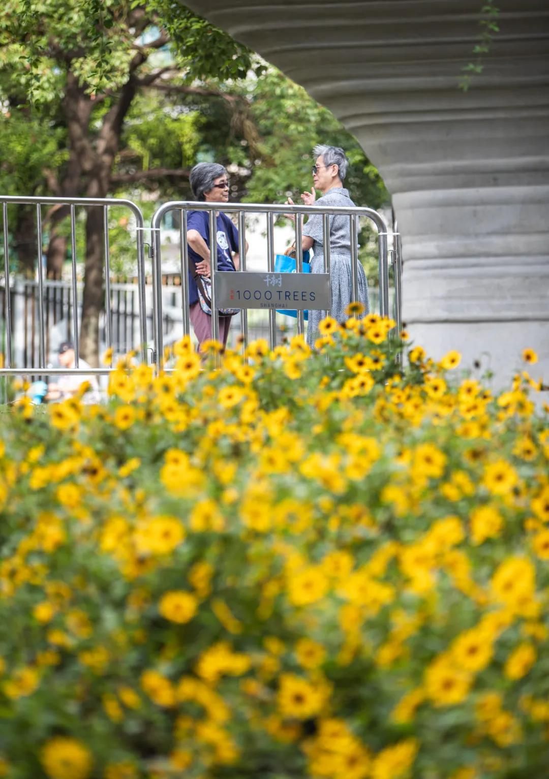 天安千树滨河花园及一二楼平台花园