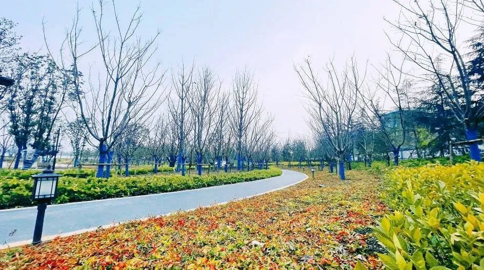 苏滁现代产业园苏州公园建设工程