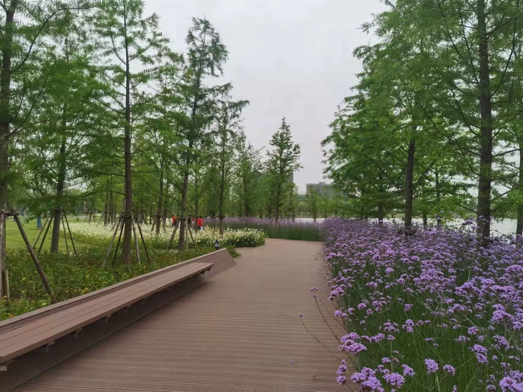 苏滁现代产业园苏州公园建设工程