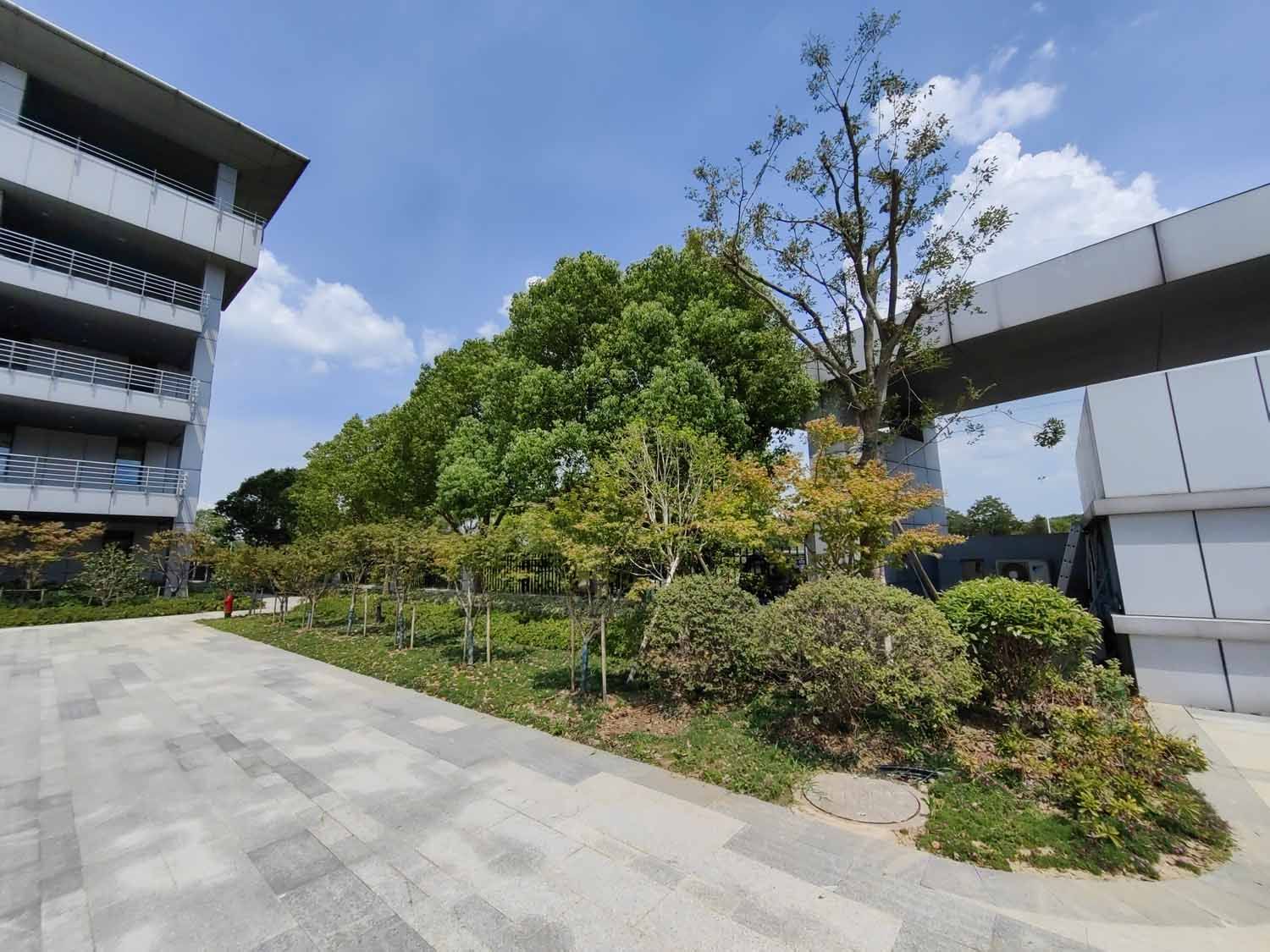 相城水厂二期工程—景观绿化项目