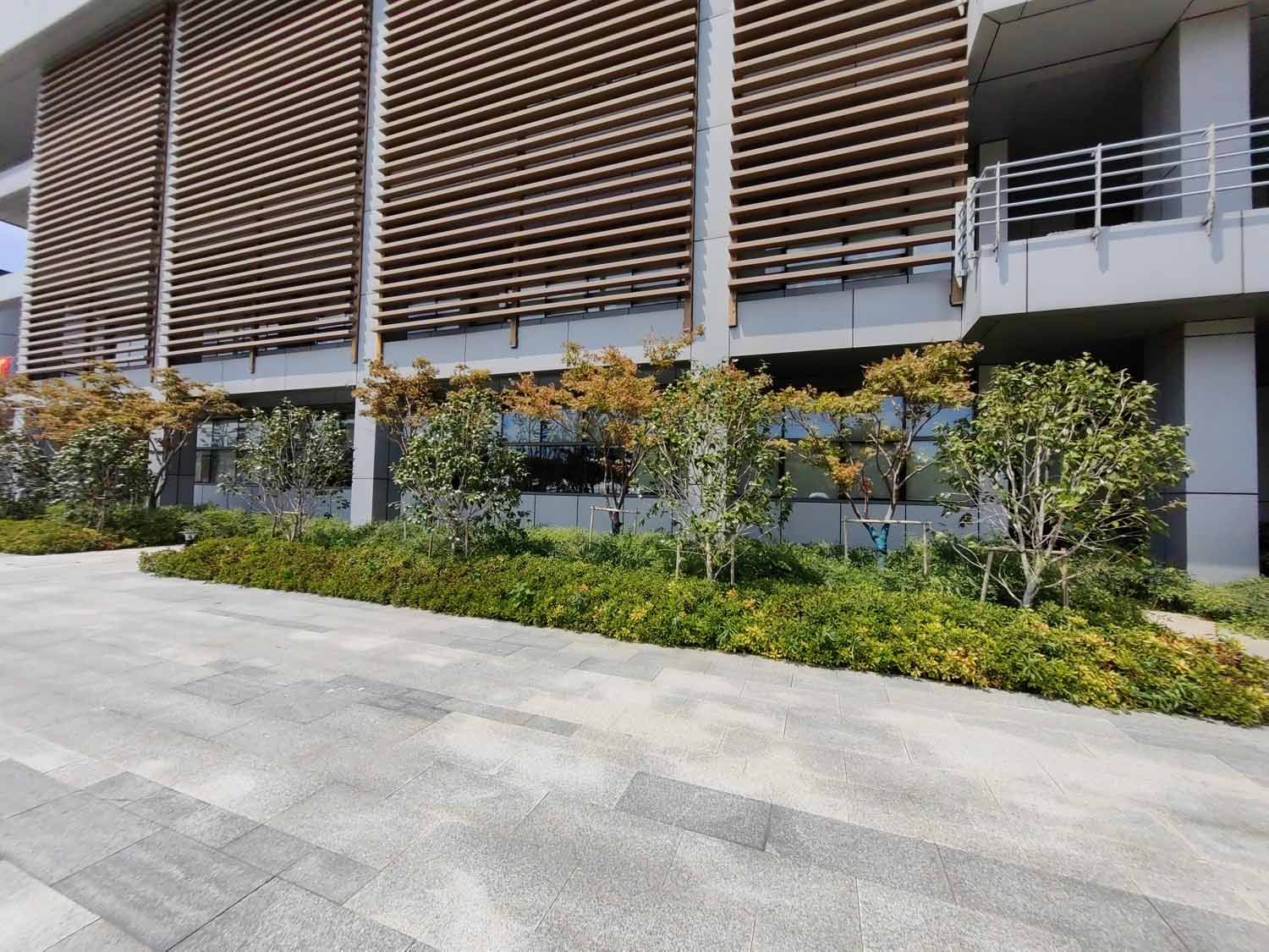 相城水厂二期工程—景观绿化项目