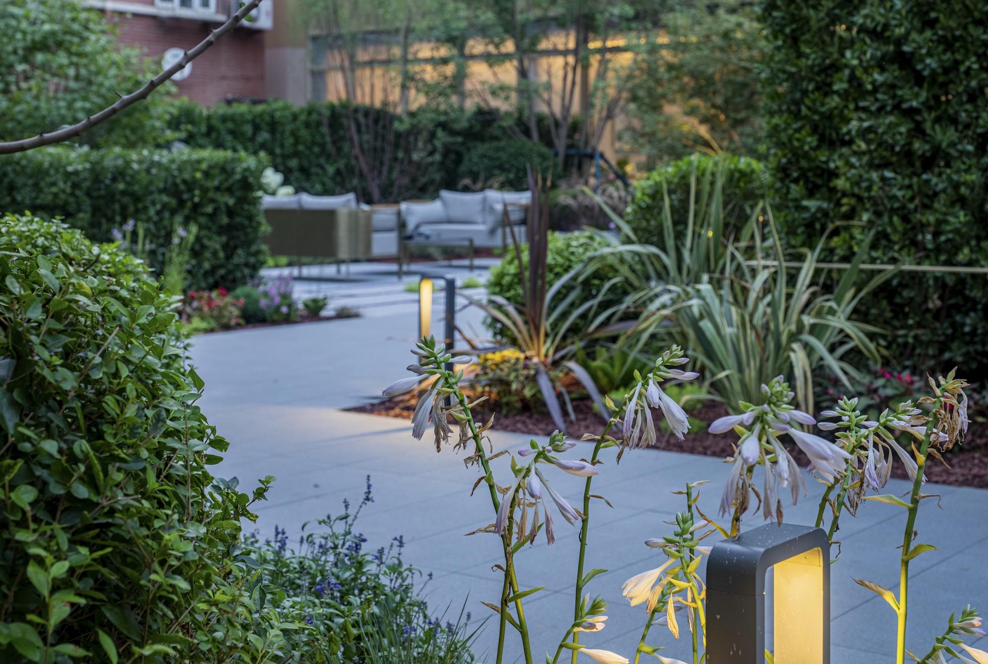 2Z2A6233-HDR.jpg